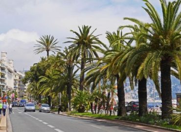 Describe a beautiful city